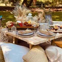Luxury outdoor picnic setup with a rustic wooden table at a Melbourne park Luxury outdoor picnic setup with a rustic wooden table, gourmet grazing platter, elegant tableware, and cosy cushions in a scenic park setting.